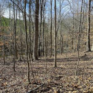 Photo of SOLD!! 37.31 Acres of Multi-Use Land For Sale in Person County NC!