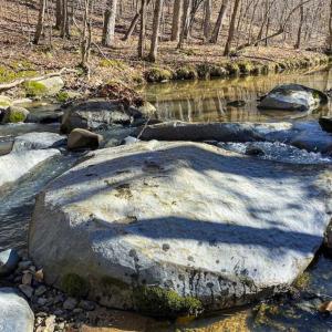 Photo of SOLD!! 37.31 Acres of Multi-Use Land For Sale in Person County NC!