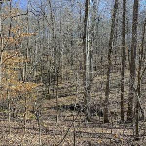Photo of SOLD!! 37.31 Acres of Multi-Use Land For Sale in Person County NC!