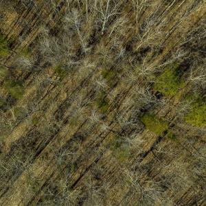Photo of SOLD!! 37.31 Acres of Multi-Use Land For Sale in Person County NC!