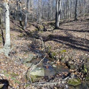 Photo of SOLD!! 37.31 Acres of Multi-Use Land For Sale in Person County NC!