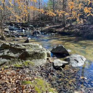 Photo of SOLD!! 37.31 Acres of Multi-Use Land For Sale in Person County NC!