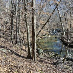 Photo of SOLD!! 37.31 Acres of Multi-Use Land For Sale in Person County NC!