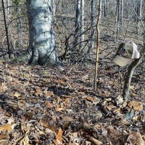 Photo of SOLD!! 37.31 Acres of Multi-Use Land For Sale in Person County NC!