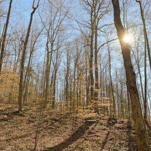 Photo of SOLD!! 37.31 Acres of Multi-Use Land For Sale in Person County NC!