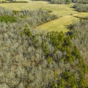 Photo of SOLD!! 37.31 Acres of Multi-Use Land For Sale in Person County NC!