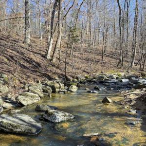 Photo of SOLD!! 37.31 Acres of Multi-Use Land For Sale in Person County NC!