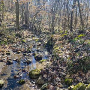 Photo of SOLD!! 37.31 Acres of Multi-Use Land For Sale in Person County NC!