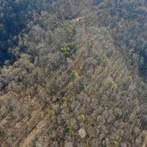 Photo of SOLD!!  6 Acres of Hunting and Residential Land For Sale in Franklin County VA!