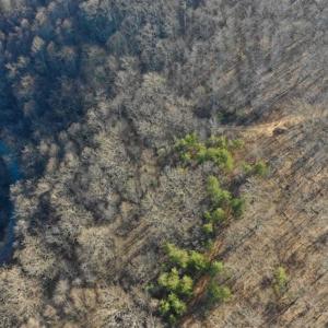 Photo of SOLD!!  6 Acres of Hunting and Residential Land For Sale in Franklin County VA!