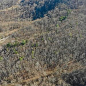 Photo of SOLD!!  6 Acres of Hunting and Residential Land For Sale in Franklin County VA!