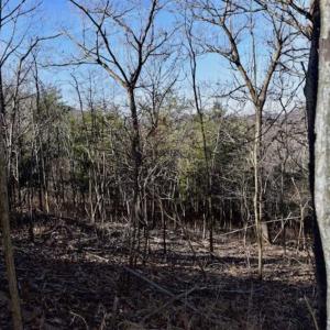 Photo of SOLD!!  6 Acres of Hunting and Residential Land For Sale in Franklin County VA!