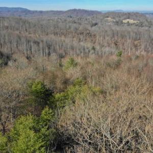 Photo of SOLD!!  6 Acres of Hunting and Residential Land For Sale in Franklin County VA!