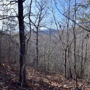 Photo of SOLD!!  6 Acres of Hunting and Residential Land For Sale in Franklin County VA!