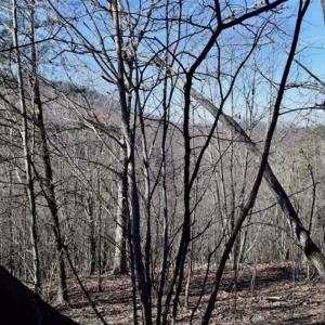 Photo of SOLD!!  6 Acres of Hunting and Residential Land For Sale in Franklin County VA!