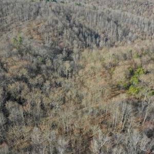Photo of SOLD!!  6 Acres of Hunting and Residential Land For Sale in Franklin County VA!