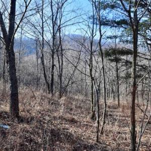Photo of SOLD!!  6 Acres of Hunting and Residential Land For Sale in Franklin County VA!