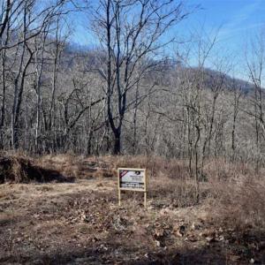 Photo of SOLD!!  6 Acres of Hunting and Residential Land For Sale in Franklin County VA!