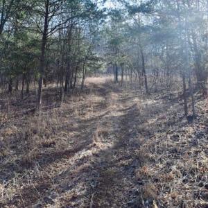 Photo of SOLD!!  6 Acres of Hunting and Residential Land For Sale in Franklin County VA!