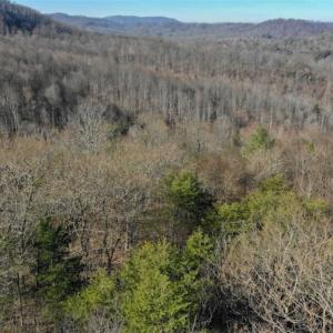 Photo of SOLD!!  6 Acres of Hunting and Residential Land For Sale in Franklin County VA!