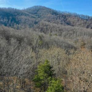Photo of SOLD!!  6 Acres of Hunting and Residential Land For Sale in Franklin County VA!