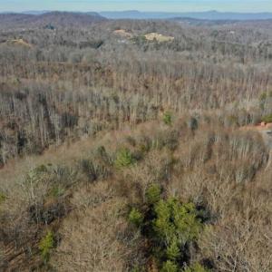 Photo of SOLD!!  6 Acres of Hunting and Residential Land For Sale in Franklin County VA!
