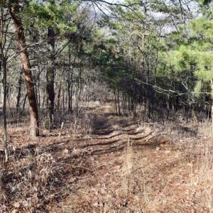 Photo of SOLD!!  6 Acres of Hunting and Residential Land For Sale in Franklin County VA!