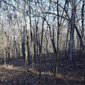 Photo of SOLD!!  6 Acres of Hunting and Residential Land For Sale in Franklin County VA!