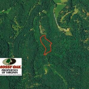 Photo of SOLD!!  6 Acres of Hunting and Residential Land For Sale in Franklin County VA!