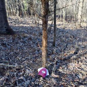 Photo of SOLD!!  6 Acres of Hunting and Residential Land For Sale in Franklin County VA!