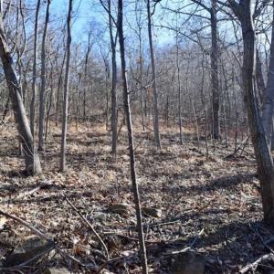 Photo of SOLD!!  6 Acres of Hunting and Residential Land For Sale in Franklin County VA!