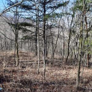 Photo of SOLD!!  6 Acres of Hunting and Residential Land For Sale in Franklin County VA!