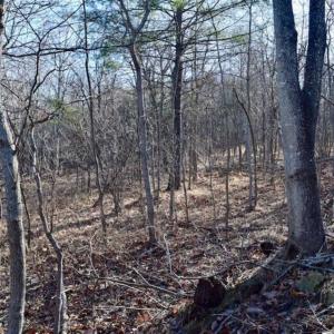 Photo of SOLD!!  6 Acres of Hunting and Residential Land For Sale in Franklin County VA!