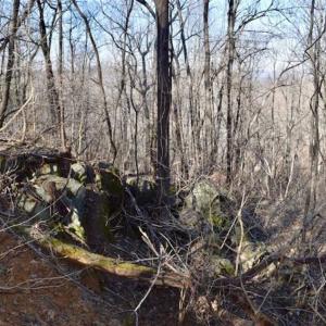 Photo of SOLD!!  6 Acres of Hunting and Residential Land For Sale in Franklin County VA!