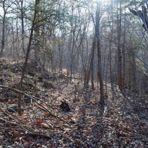 Photo of SOLD!!  6 Acres of Hunting and Residential Land For Sale in Franklin County VA!