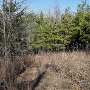Photo of SOLD!!  6 Acres of Hunting and Residential Land For Sale in Franklin County VA!