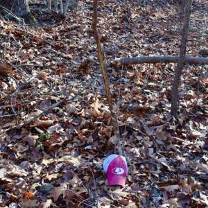 Photo of SOLD!!  6 Acres of Hunting and Residential Land For Sale in Franklin County VA!