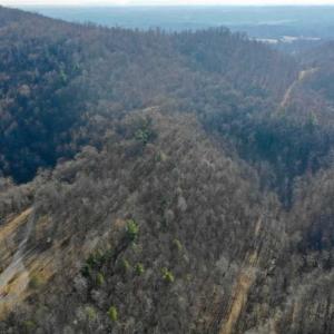 Photo of SOLD!!  6 Acres of Hunting and Residential Land For Sale in Franklin County VA!