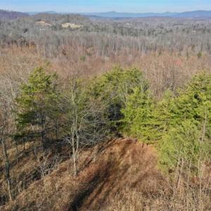 Photo of SOLD!!  6 Acres of Hunting and Residential Land For Sale in Franklin County VA!