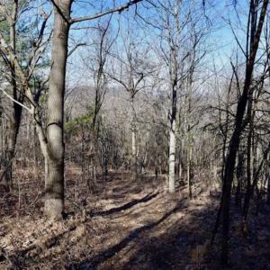 Photo of SOLD!!  6 Acres of Hunting and Residential Land For Sale in Franklin County VA!