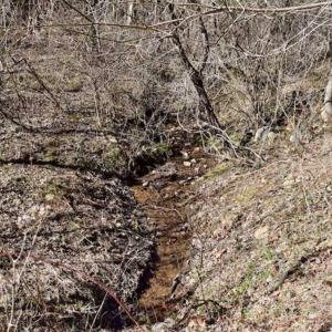 Photo of SOLD!!  81 Acres of Hunting and Recreational Land For Sale in Franklin County VA!