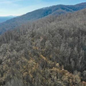 Photo of SOLD!!  81 Acres of Hunting and Recreational Land For Sale in Franklin County VA!