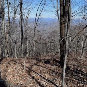 Photo of SOLD!!  81 Acres of Hunting and Recreational Land For Sale in Franklin County VA!
