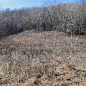 Photo of SOLD!!  81 Acres of Hunting and Recreational Land For Sale in Franklin County VA!
