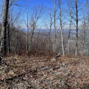 Photo of SOLD!!  81 Acres of Hunting and Recreational Land For Sale in Franklin County VA!
