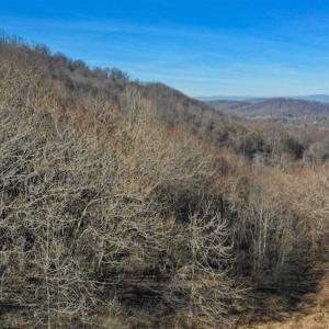 Photo of SOLD!!  81 Acres of Hunting and Recreational Land For Sale in Franklin County VA!