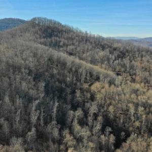 Photo of SOLD!!  81 Acres of Hunting and Recreational Land For Sale in Franklin County VA!