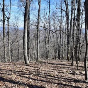 Photo of SOLD!!  81 Acres of Hunting and Recreational Land For Sale in Franklin County VA!