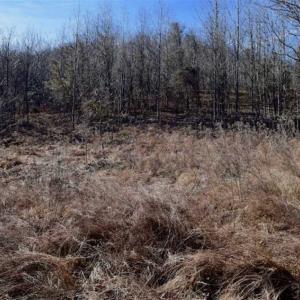 Photo of SOLD!!  81 Acres of Hunting and Recreational Land For Sale in Franklin County VA!