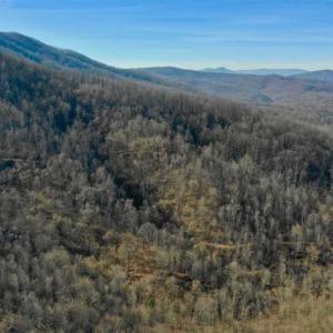 Photo of SOLD!!  81 Acres of Hunting and Recreational Land For Sale in Franklin County VA!